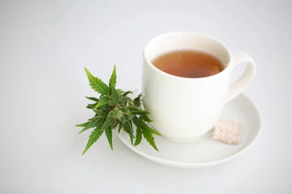 cbd tea